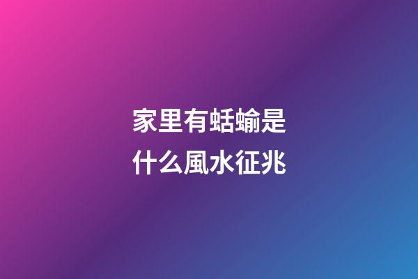 家里有蛞蝓是什么風水征兆