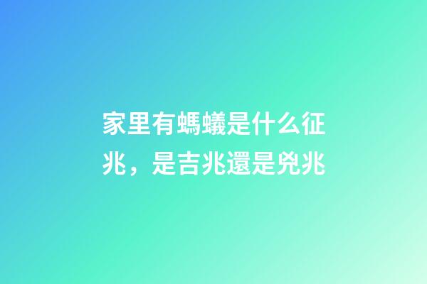 家里有螞蟻是什么征兆，是吉兆還是兇兆