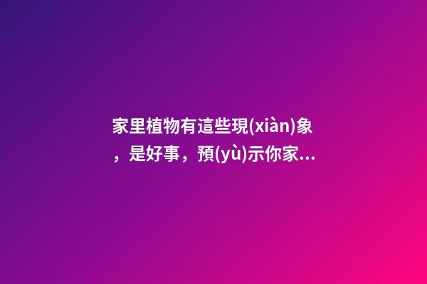 家里植物有這些現(xiàn)象，是好事，預(yù)示你家要發(fā)大財(cái)了！