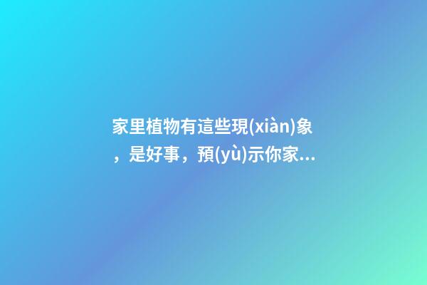 家里植物有這些現(xiàn)象，是好事，預(yù)示你家要發(fā)大財了！