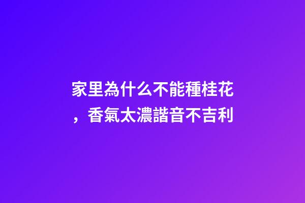 家里為什么不能種桂花，香氣太濃諧音不吉利