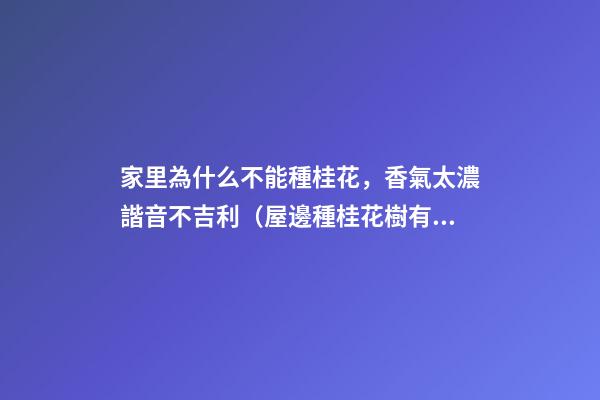 家里為什么不能種桂花，香氣太濃諧音不吉利（屋邊種桂花樹有不吉利的說法嗎）