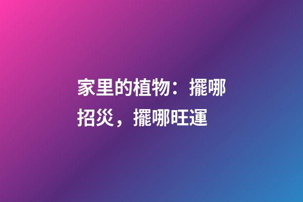 家里的植物：擺哪招災，擺哪旺運