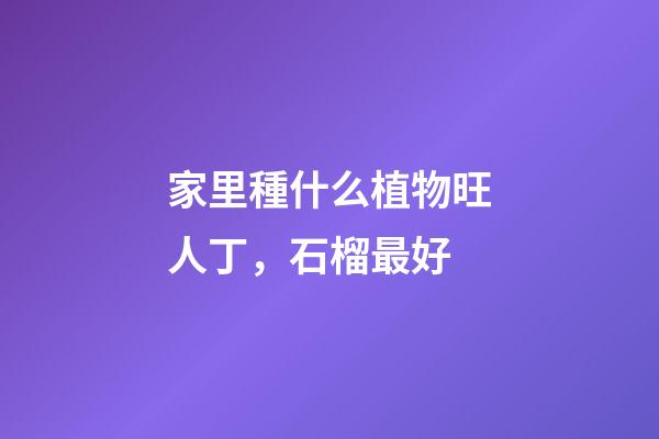 家里種什么植物旺人丁，石榴最好
