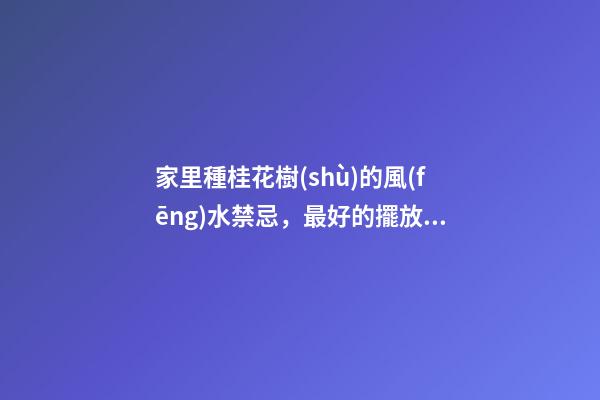 家里種桂花樹(shù)的風(fēng)水禁忌，最好的擺放位置在這