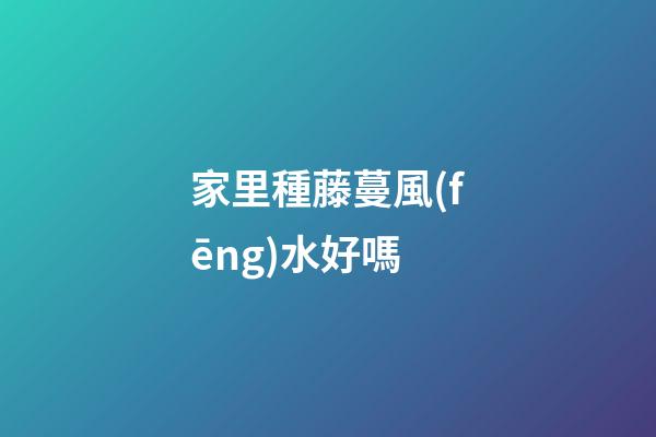 家里種藤蔓風(fēng)水好嗎