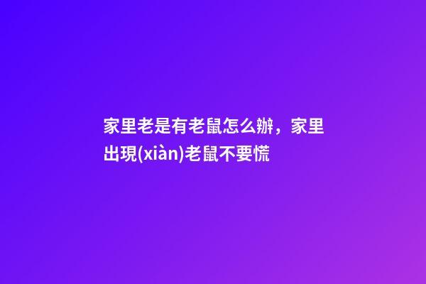 家里老是有老鼠怎么辦，家里出現(xiàn)老鼠不要慌-第1張-觀點-玄機派