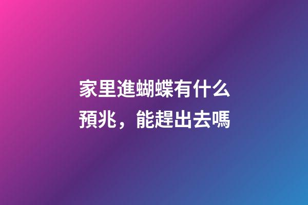 家里進蝴蝶有什么預兆，能趕出去嗎