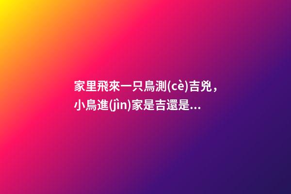 家里飛來一只鳥測(cè)吉兇，小鳥進(jìn)家是吉還是兇（一早家里飛來一只鳥測(cè)吉兇）