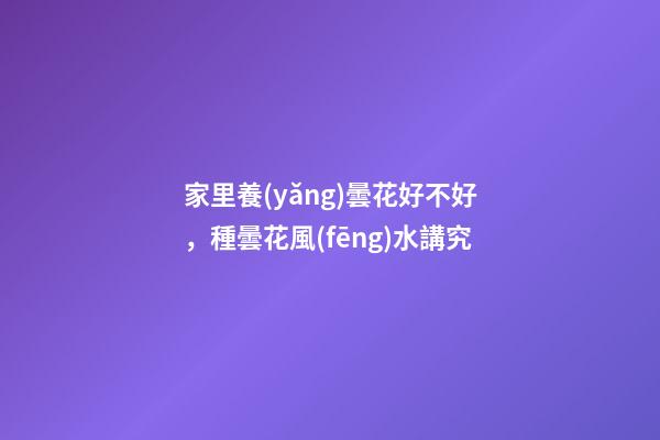家里養(yǎng)曇花好不好，種曇花風(fēng)水講究