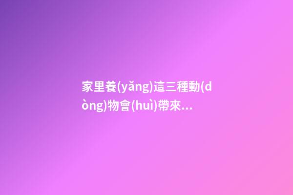 家里養(yǎng)這三種動(dòng)物會(huì)帶來(lái)好風(fēng)水