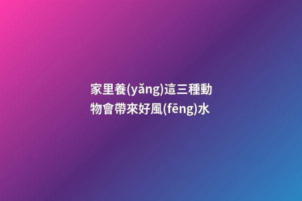 家里養(yǎng)這三種動物會帶來好風(fēng)水