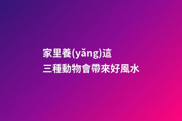 家里養(yǎng)這三種動物會帶來好風水
