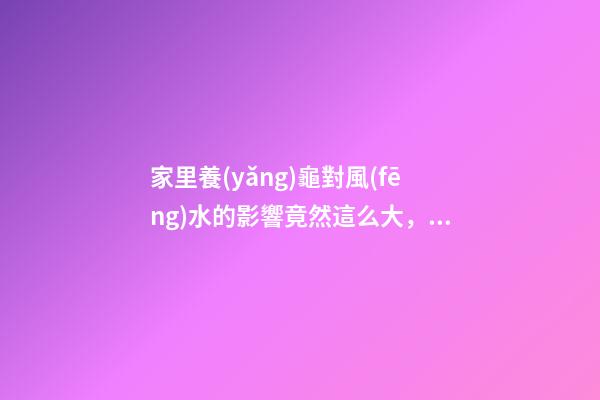 家里養(yǎng)龜對風(fēng)水的影響竟然這么大，看到嚇一跳！