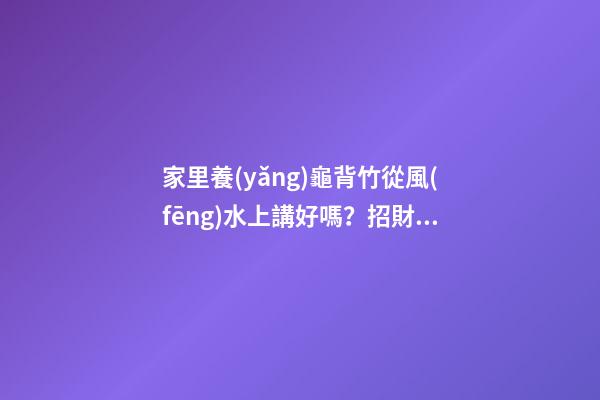 家里養(yǎng)龜背竹從風(fēng)水上講好嗎？招財(cái)活力