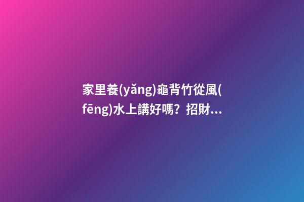 家里養(yǎng)龜背竹從風(fēng)水上講好嗎？招財活力