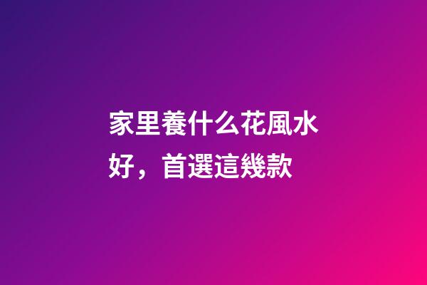家里養什么花風水好，首選這幾款
