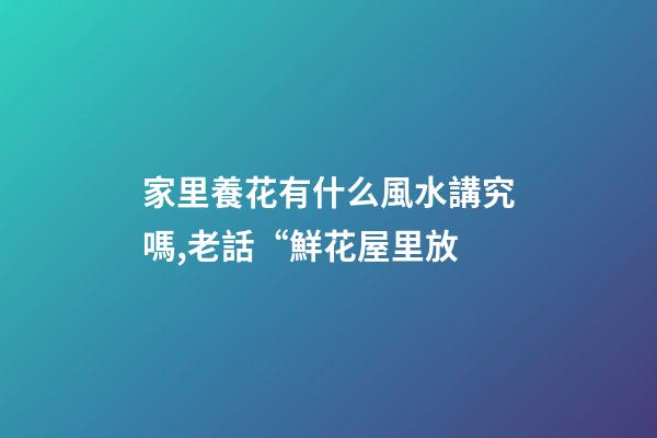 家里養花有什么風水講究嗎,老話“鮮花屋里放-第1張-觀點-玄機派