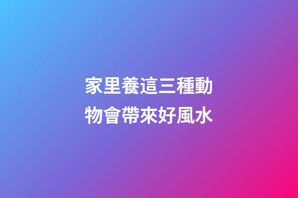 家里養這三種動物會帶來好風水