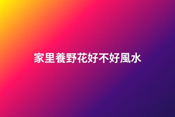 家里養野花好不好風水
