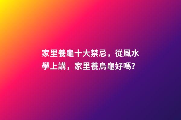 家里養龜十大禁忌，從風水學上講，家里養烏龜好嗎？