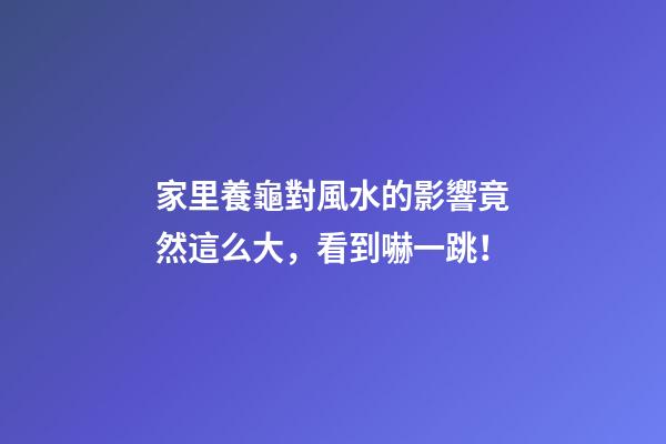 家里養龜對風水的影響竟然這么大，看到嚇一跳！