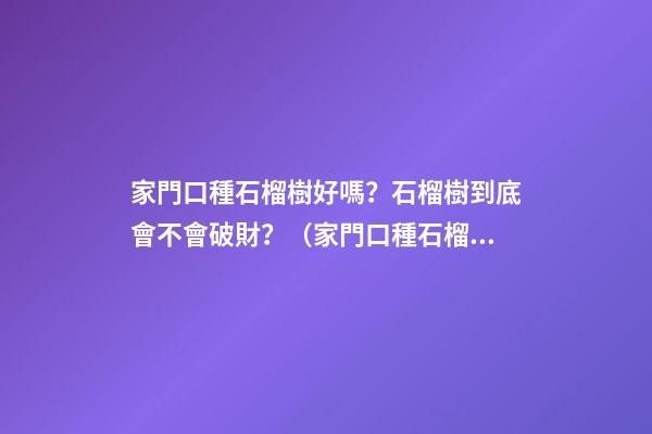 家門口種石榴樹好嗎？石榴樹到底會不會破財？（家門口種石榴樹好不好）