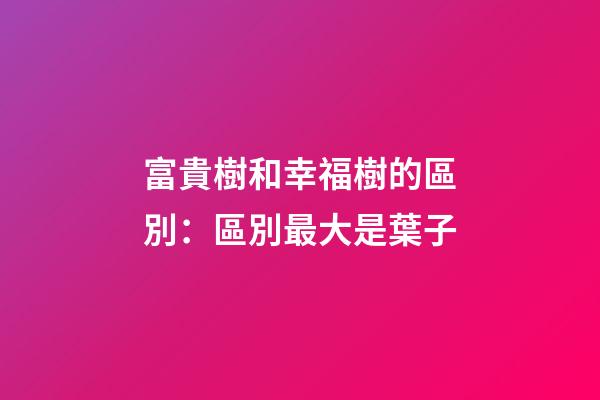 富貴樹和幸福樹的區別：區別最大是葉子