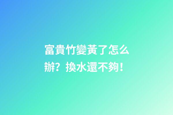 富貴竹變黃了怎么辦？換水還不夠！