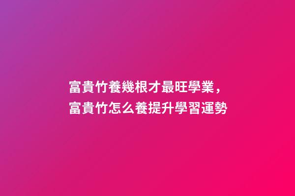 富貴竹養幾根才最旺學業，富貴竹怎么養提升學習運勢
