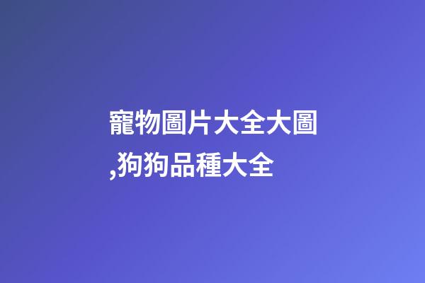 寵物圖片大全大圖,狗狗品種大全(帶圖片)-第1張-觀點-玄機派