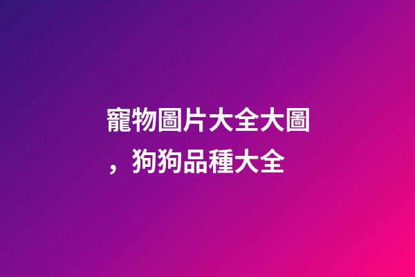 寵物圖片大全大圖，狗狗品種大全(帶圖片)-第1張-觀點-玄機派
