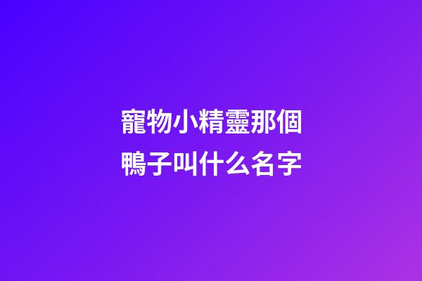 寵物小精靈那個鴨子叫什么名字