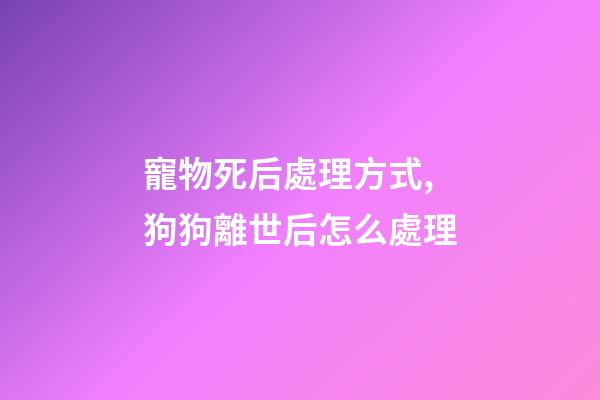寵物死后處理方式,狗狗離世后怎么處理-第1張-觀點-玄機派
