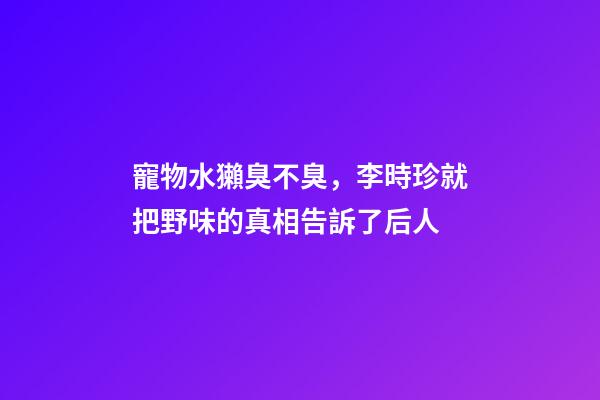 寵物水獺臭不臭，李時珍就把野味的真相告訴了后人