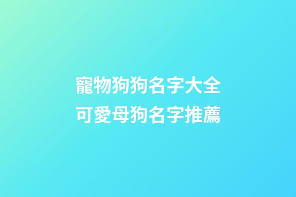 寵物狗狗名字大全可愛母狗名字推薦