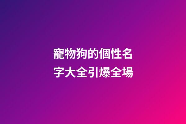 寵物狗的個性名字大全引爆全場