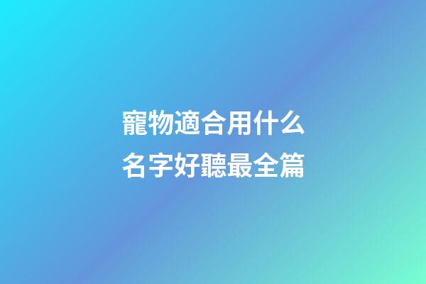 寵物適合用什么名字好聽最全篇