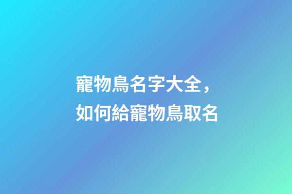 寵物鳥名字大全，如何給寵物鳥取名