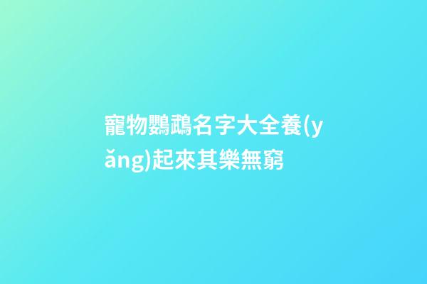 寵物鸚鵡名字大全養(yǎng)起來其樂無窮