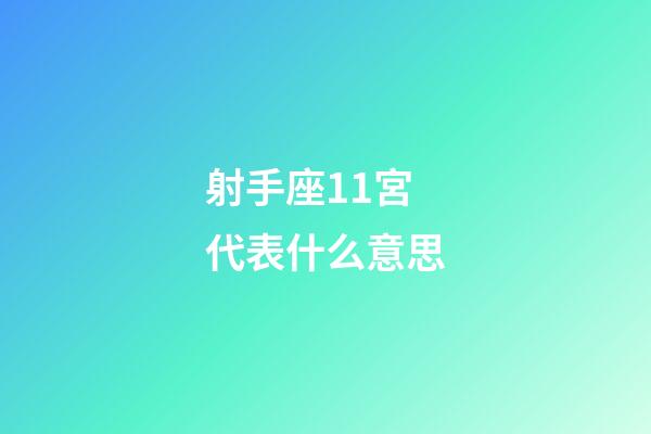 射手座11宮代表什么意思-第1張-星座運勢-玄機派