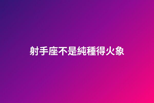 射手座不是純種得火象-第1張-星座運勢-玄機派