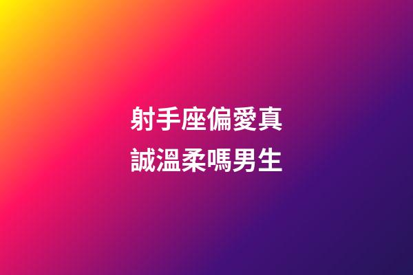 射手座偏愛真誠溫柔嗎男生-第1張-星座運勢-玄機派