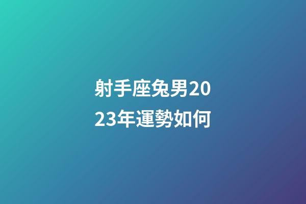 射手座兔男2023年運勢如何-第1張-星座運勢-玄機派