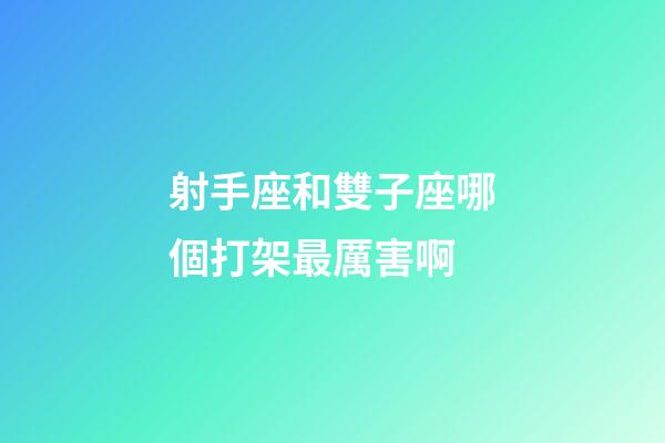 射手座和雙子座哪個打架最厲害啊-第1張-星座運勢-玄機派