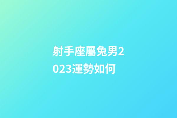 射手座屬兔男2023運勢如何-第1張-星座運勢-玄機派