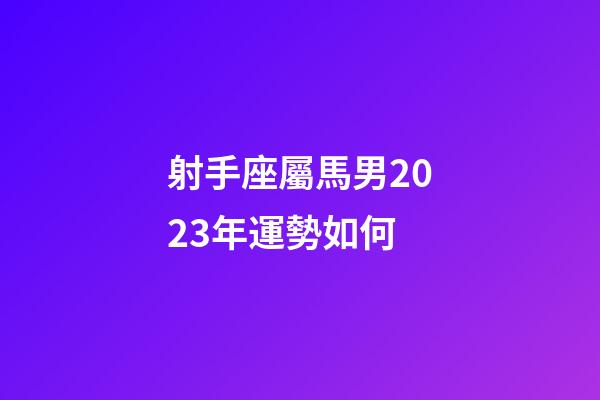 射手座屬馬男2023年運勢如何-第1張-星座運勢-玄機派