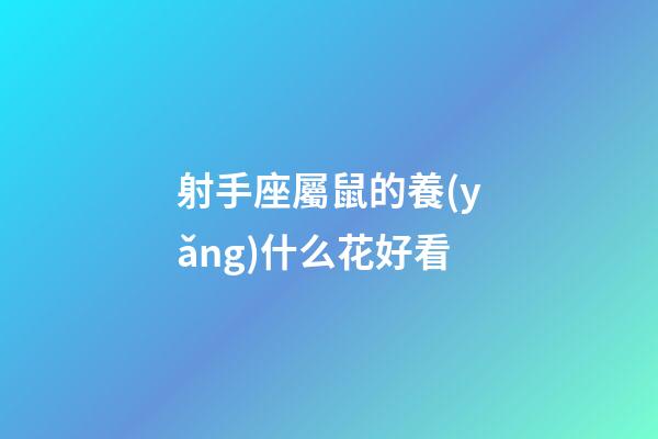 射手座屬鼠的養(yǎng)什么花好看-第1張-星座運(yùn)勢(shì)-玄機(jī)派