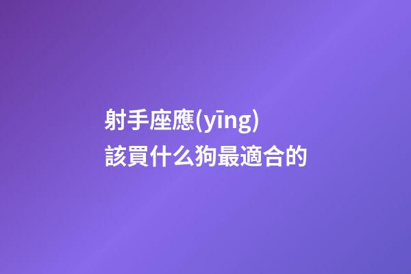 射手座應(yīng)該買什么狗最適合的-第1張-星座運(yùn)勢(shì)-玄機(jī)派