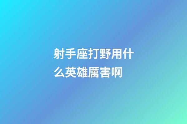 射手座打野用什么英雄厲害啊-第1張-星座運勢-玄機派